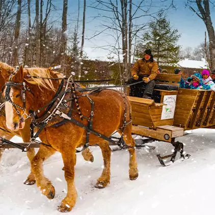 winter-vacations-in-michigan-sleigh-rides-square-d3e9c1971d4d2035905ca13e98a8a22a-67ae757877d51