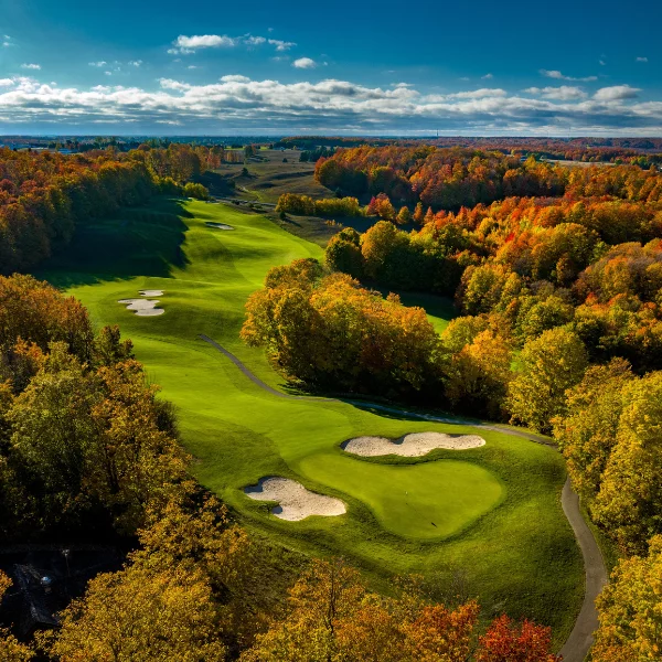 |Treetops Driving Range