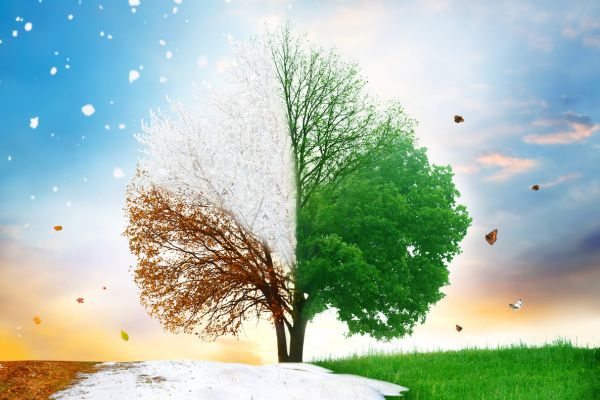 Untitled (600 x 400 px) (15)